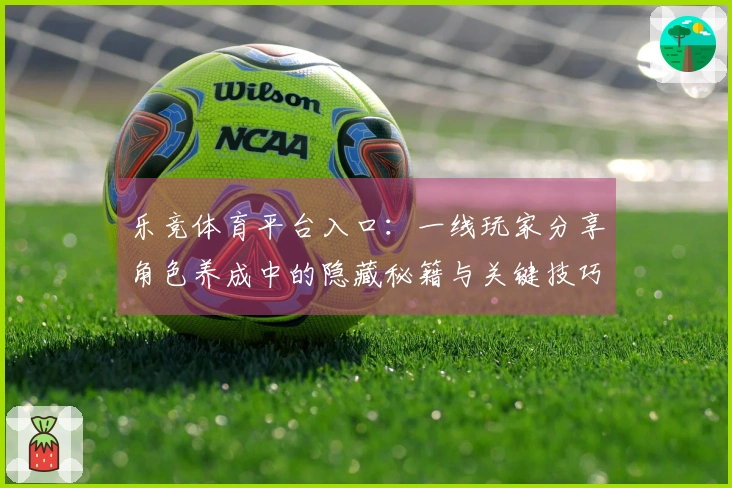 乐竞体育平台入口：一线玩家分享角色养成中的隐藏秘籍与关键技巧