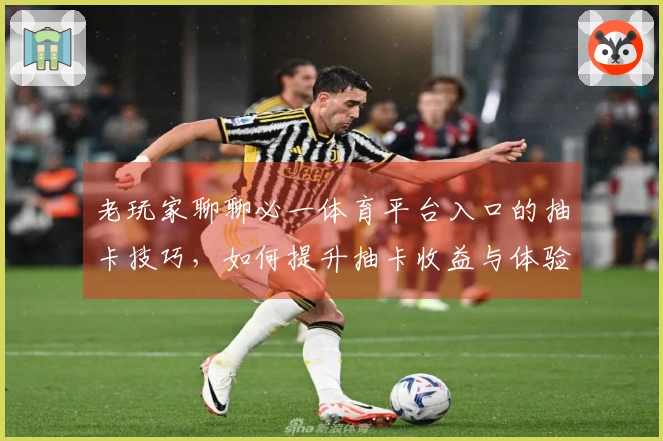 老玩家聊聊必一体育平台入口的抽卡技巧，如何提升抽卡收益与体验？