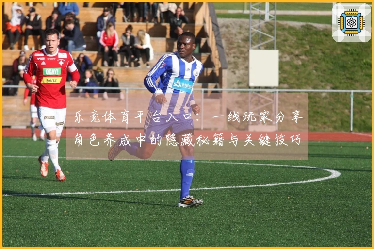 乐竞体育平台入口：一线玩家分享角色养成中的隐藏秘籍与关键技巧